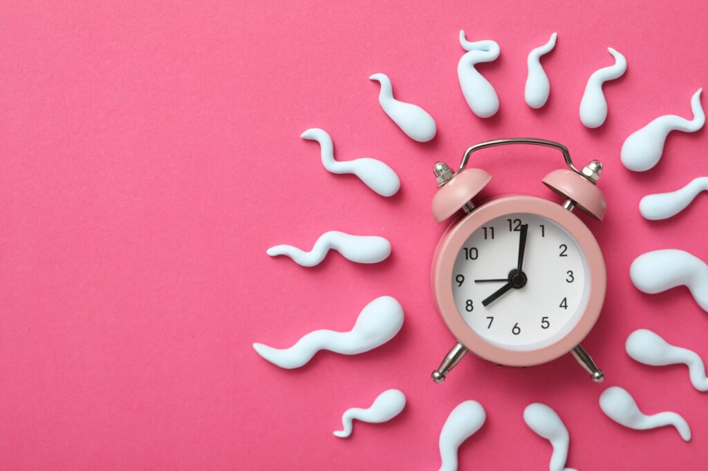 Concept of fertilization, period of ovulation, ovum.