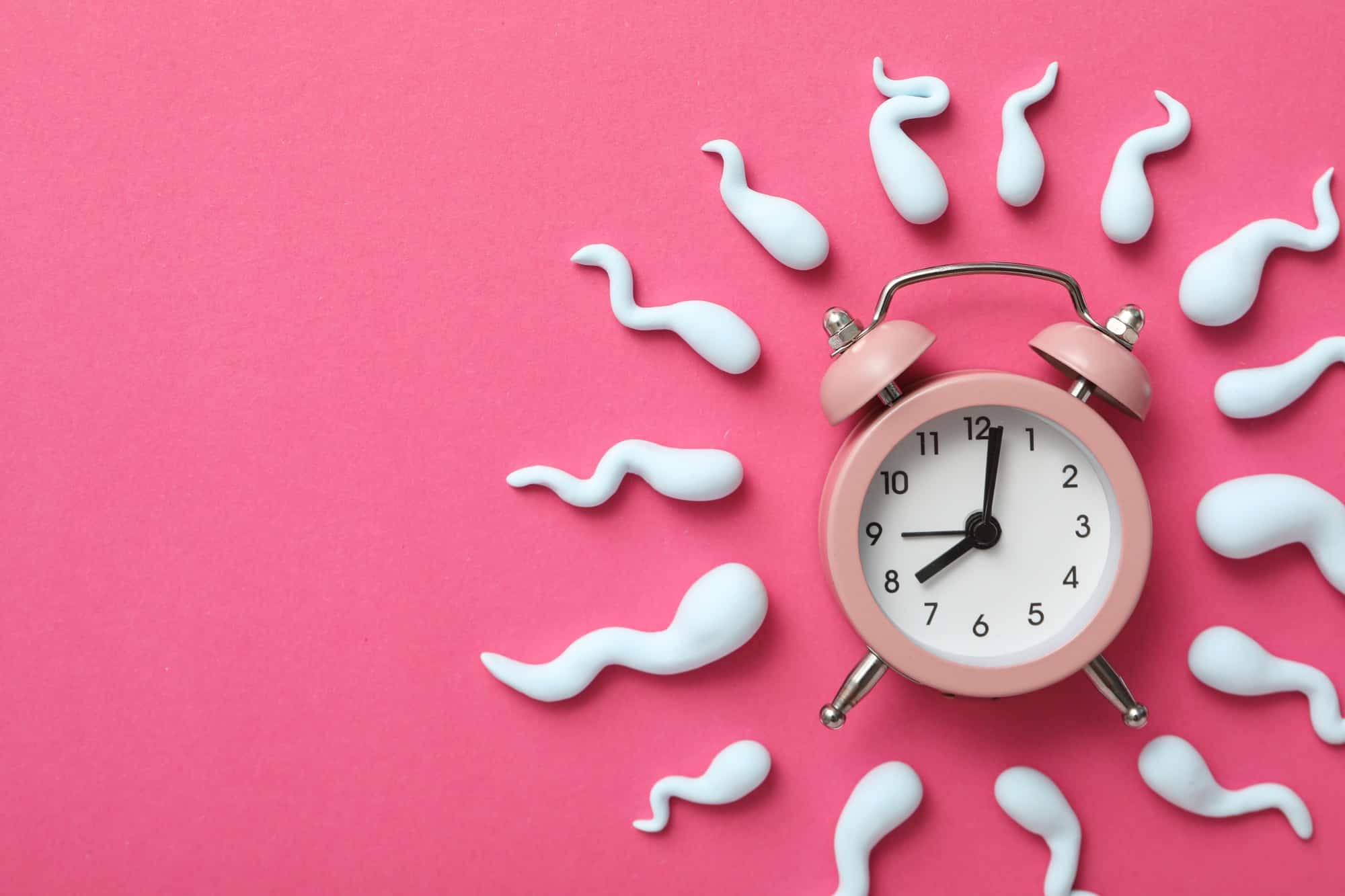 Concept of fertilization, period of ovulation, ovum.